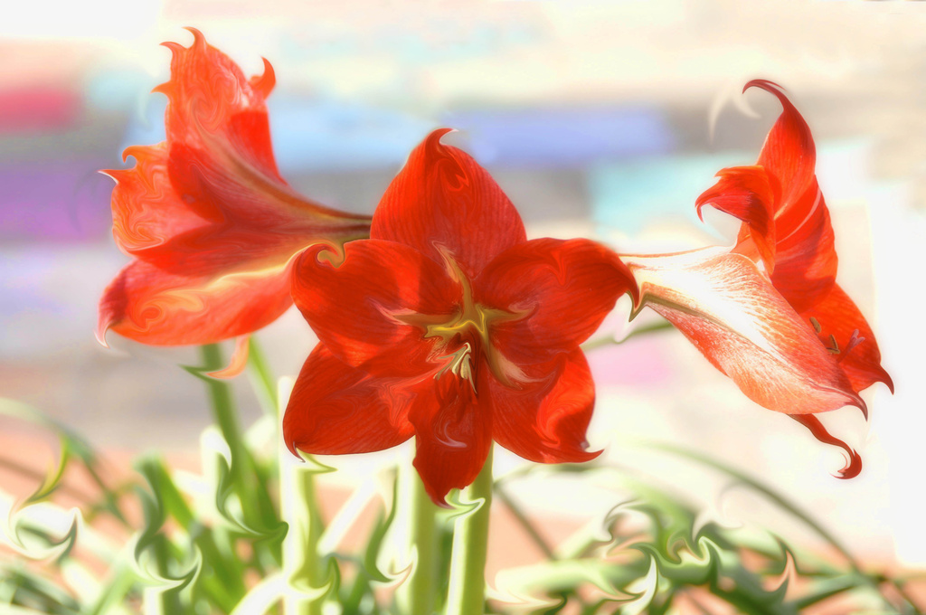 Twirly Flowers by joysfocus