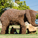 Elephant by salza