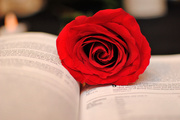 13th Apr 2014 - Blooming in The Word