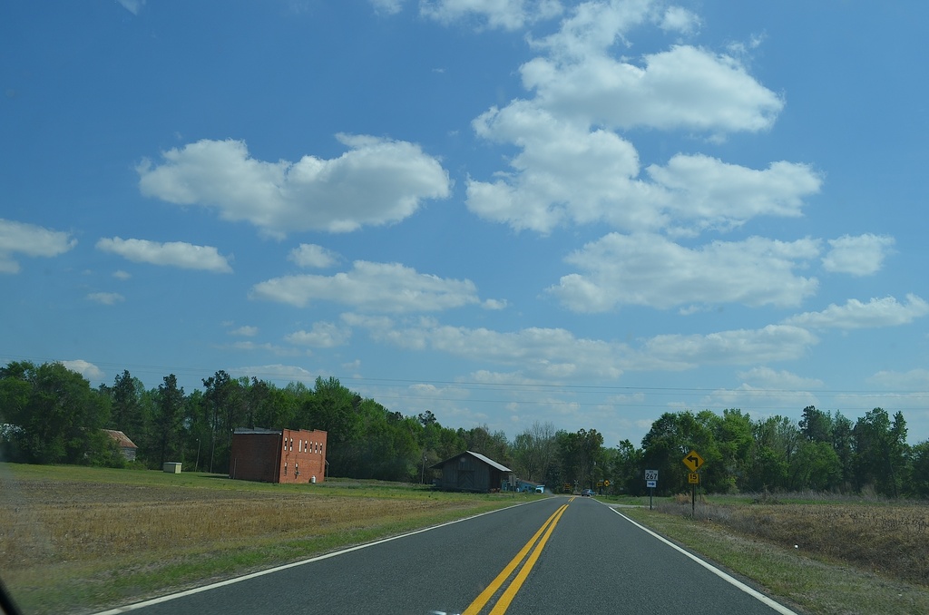 Along the back roads of Calhoun County, SC, 4/12/14 by congaree