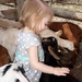Petting goats, lots of goats. There were goats everywhere... by mdoelger
