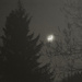 moon by walia