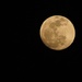 Full Moon by lynne5477