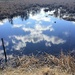 Reflections on a Wetland! by homeschoolmom