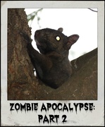 14th Apr 2014 - Zombie Apocalypse:  Part 2