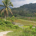 Fresh Water fish ponds-ulu Legong by ianjb21