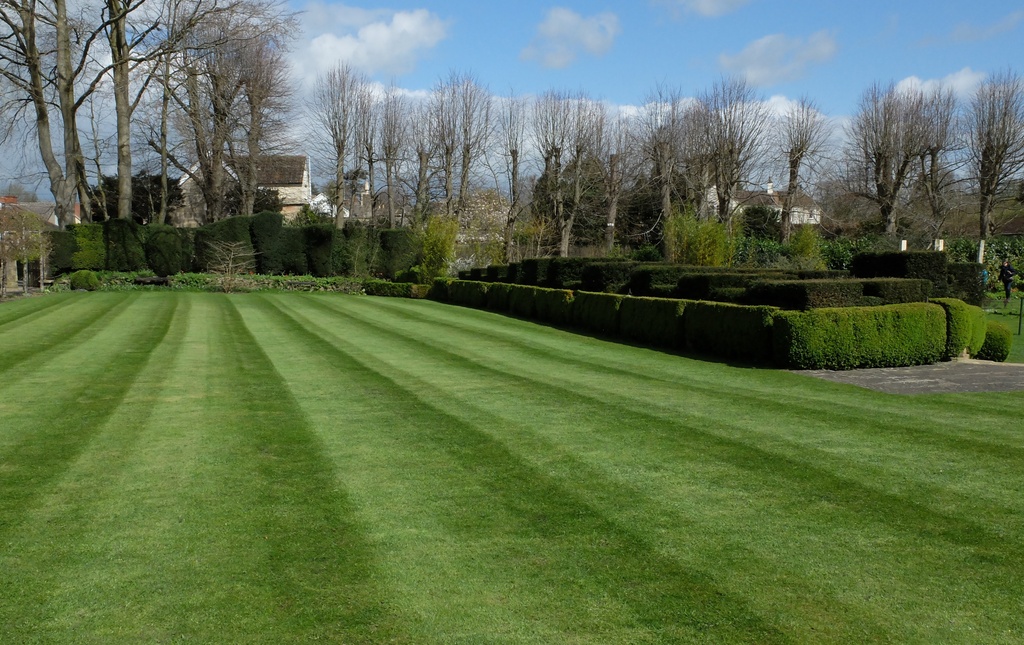 an English lawn... by quietpurplehaze