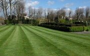 14th Apr 2014 - an English lawn...