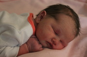 13th Apr 2014 - Matilda - 2 days old