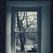 Through the window by overalvandaan