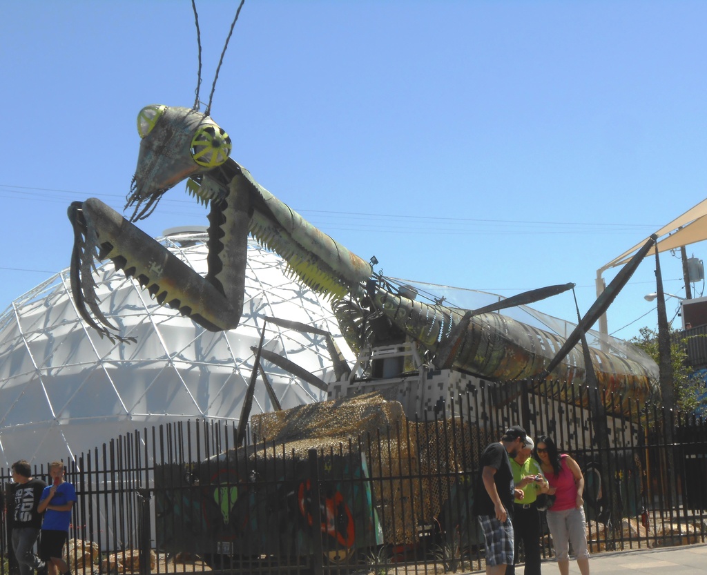 Taking a stroll Vegas, Find a Giant Praying Mantis by jnadonza