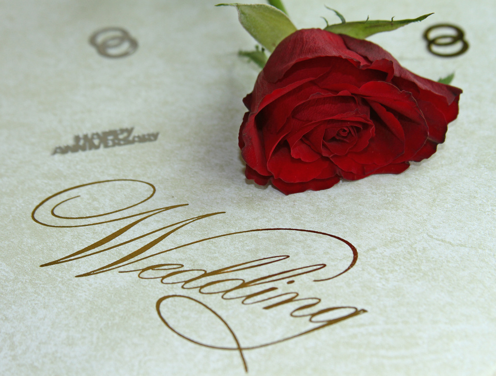 Anniversary rose by angelar