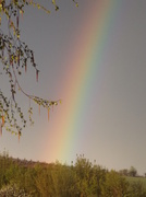 14th Apr 2014 - Rainbow :)