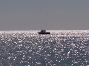 14th Apr 2015 - Little boat on a sparkly sea