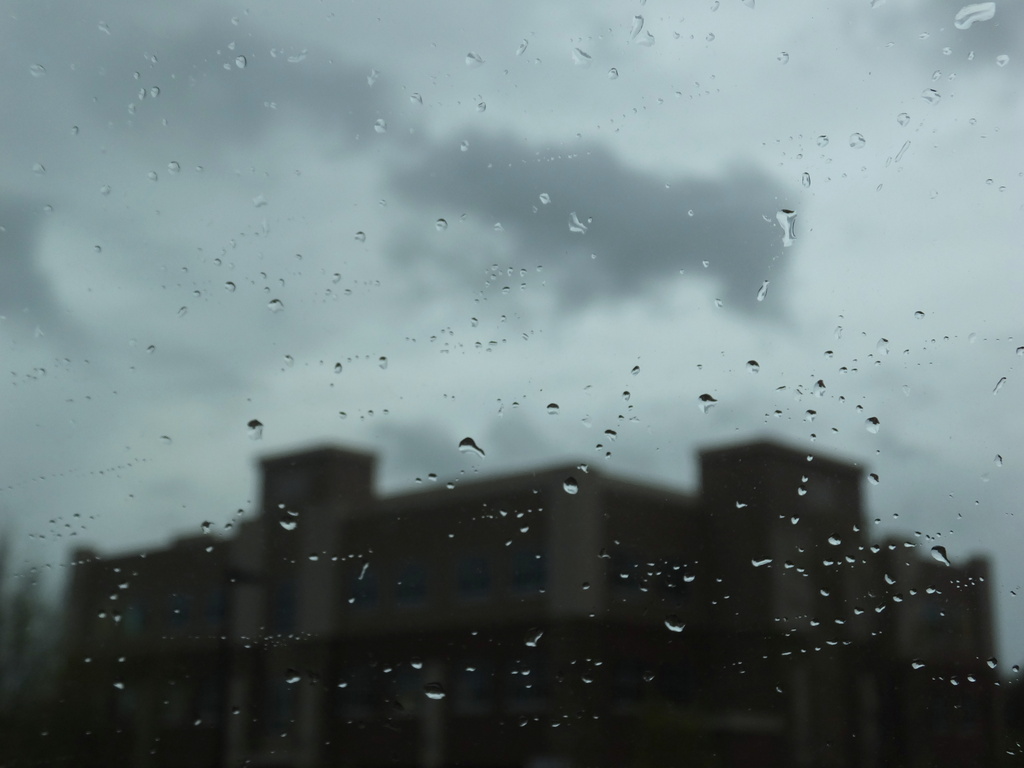 Rainy Days and Mondays by linnypinny