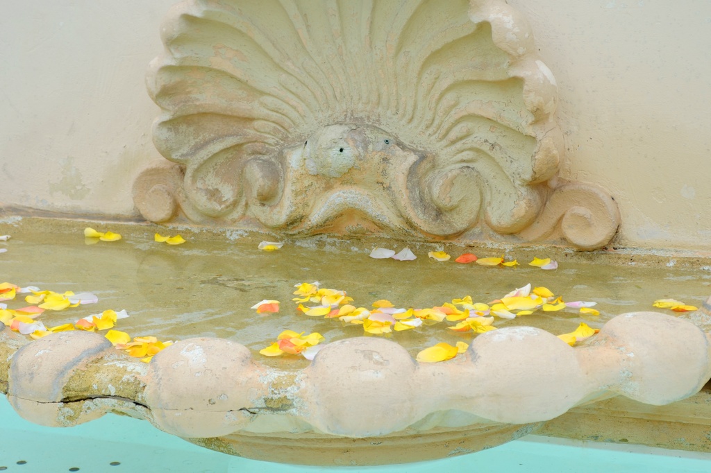 Petals in Fountain by mariaostrowski