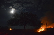 14th Apr 2014 - My First Kansas Burning Field Experience