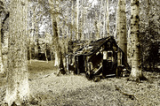 15th Apr 2014 - Little house in the woods.
