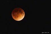 15th Apr 2014 - Blood Moon