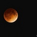 Blood Moon by lynne5477