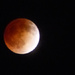 Red Moon Eclipse by stray_shooter