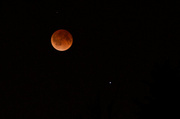 15th Apr 2014 - Blood Moon Lunar Eclipse