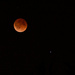 Blood Moon Lunar Eclipse by jyokota