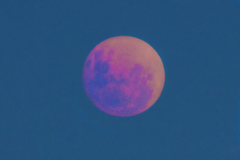 Blood moon by corymbia