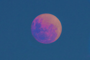 15th Apr 2014 - Blood moon