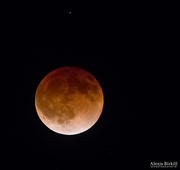 15th Apr 2014 - Total Lunar Eclipse