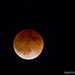 Total Lunar Eclipse by abirkill