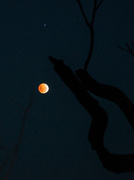 15th Apr 2014 - Lunar-eclipse