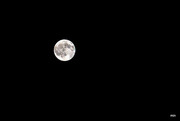 15th Apr 2014 - Pre-Blood Moon 