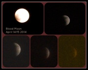 16th Apr 2014 - Blood Moon