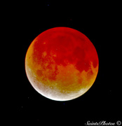 15th Apr 2014 - Blood Moon  4:15:2014 @3:55 am.