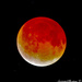 Blood Moon  4:15:2014 @3:55 am. by stcyr1up