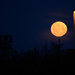 Moon by richardcreese