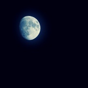 11th Apr 2014 - once in a blue moon