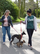 14th Apr 2014 - Kirsty and Claire Walking Ruby and Ruby