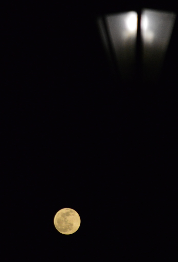 Lantern Over Lunar Moon by kareenking
