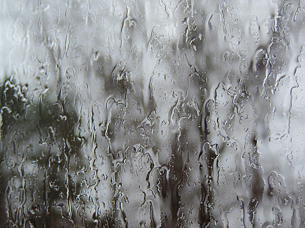 Rainy day abstract! by homeschoolmom