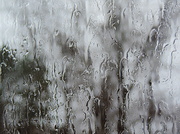 16th Apr 2014 - Rainy day abstract!