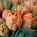 tulips on a flower stall by quietpurplehaze