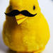 Easter chicken with mustache by elisasaeter