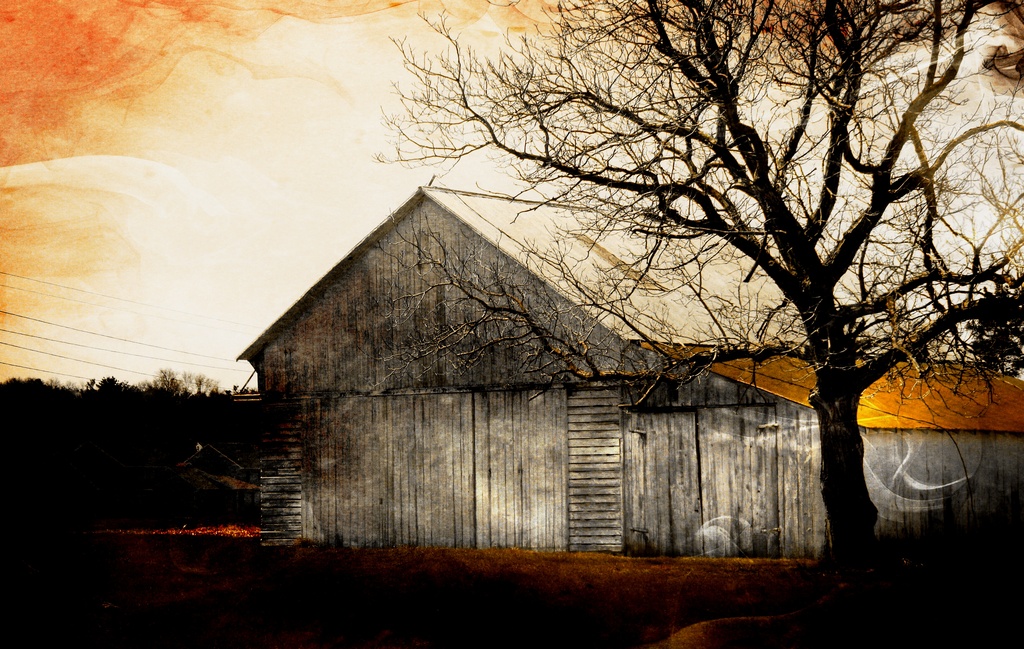 A Barn And A Tree by digitalrn