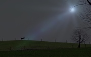 16th Apr 2014 - Horse On A Hillside