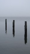 16th Apr 2014 - Pilings in the Bay
