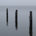 Pilings in the Bay by april16