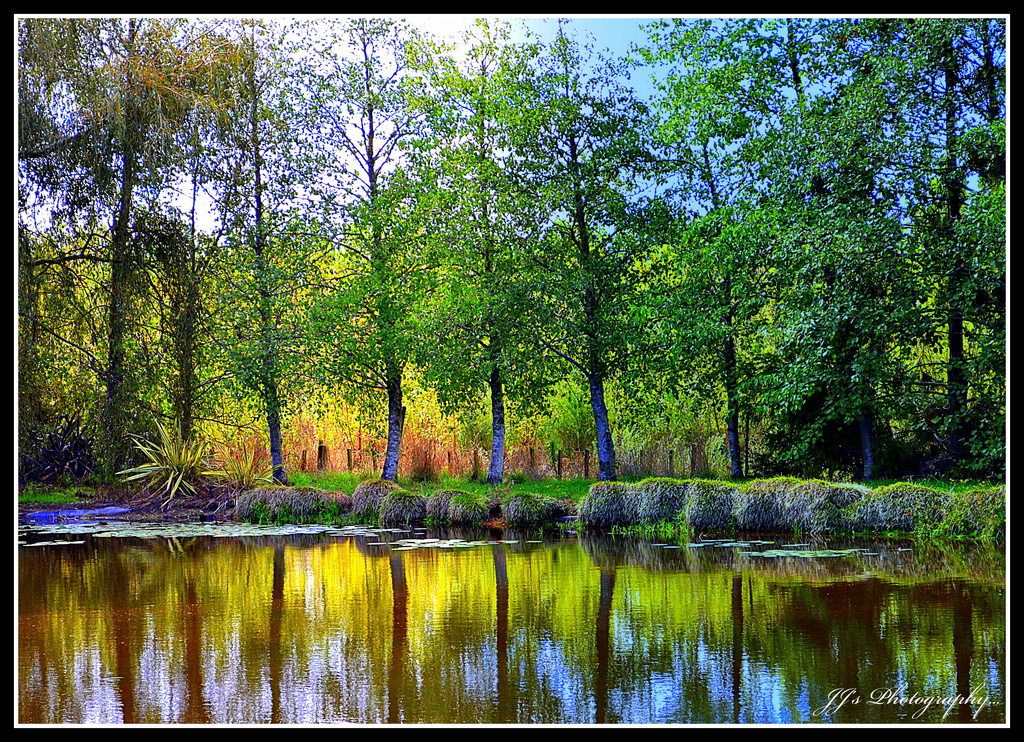 On golden pond... by julzmaioro