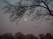 16th Apr 2014 - Setting Moon